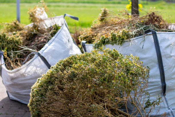 Best Attic Cleanout Services  in Kyle, TX